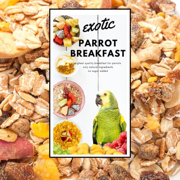 HET EXOTISK Papegojfrukost | Papegojfrukost eller middagsrätt | Varmt foder för papegojor 150g