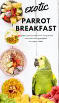 Miniatyrbild 5 av 6: HET EXOTISK Papegojfrukost | Papegojfrukost eller middagsrätt | Varmt foder för papegojor 150g