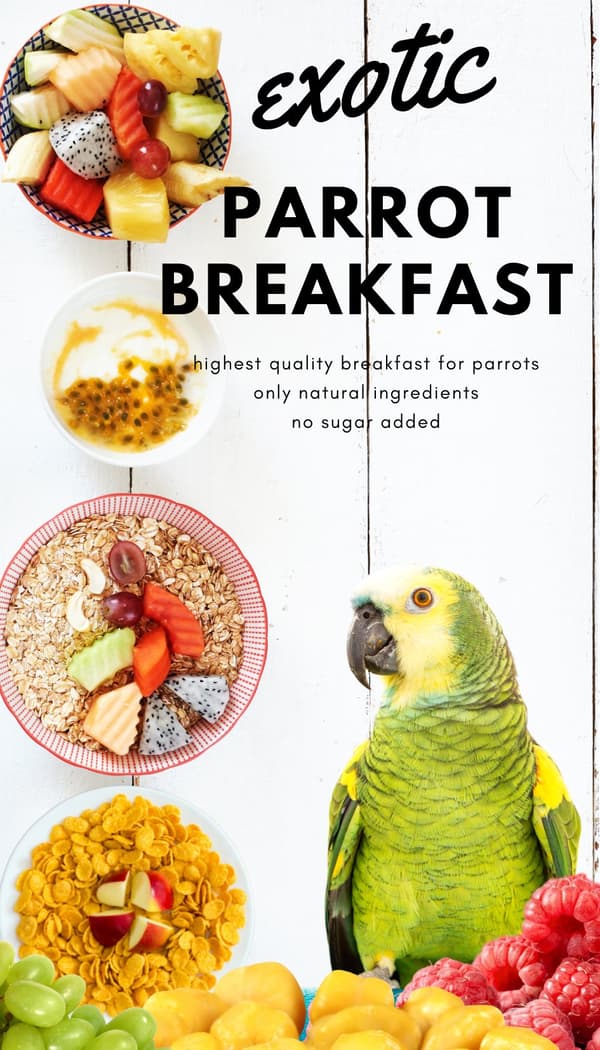 HET EXOTISK Papegojfrukost | Papegojfrukost eller middagsrätt | Varmt foder för papegojor 150g