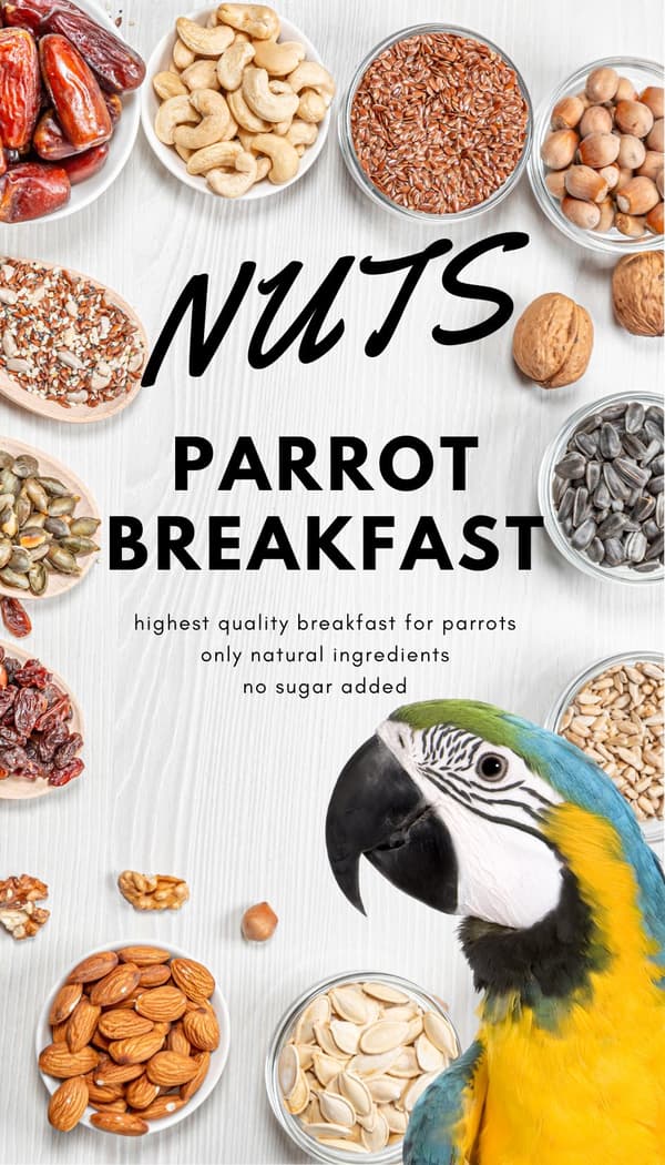 HOT NUTS Papukaija-aamiainen | Papukaija-aamiainen tai -päivällinen | Lämmintä ruokaa papukaijoille 100 g