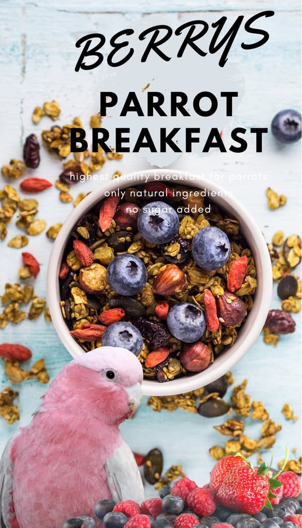HOT Berry Papegojfrukost | Papegojfrukost eller middagsrätt | Varmt foder för papegojor 150g