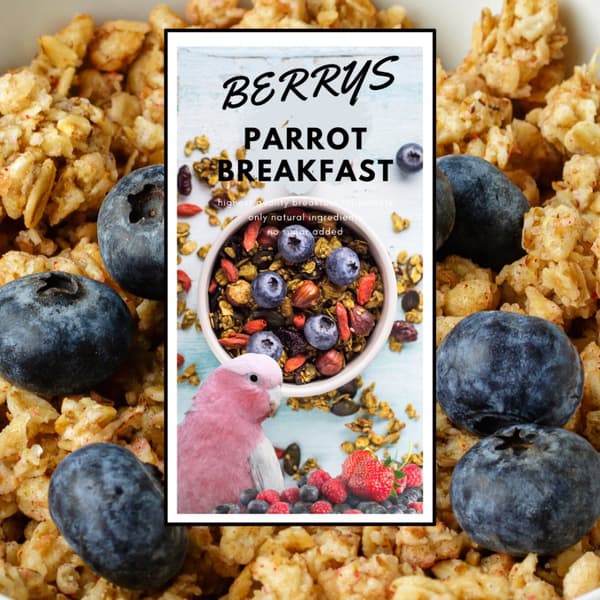 HOT Berry Papegojfrukost | Papegojfrukost eller middagsrätt | Varmt foder för papegojor 150g