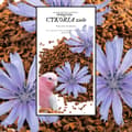 Miniatyrbild 2 av 5: Premium papegojfoder - ekologisk cikoriaört - för alla papegojor 50g