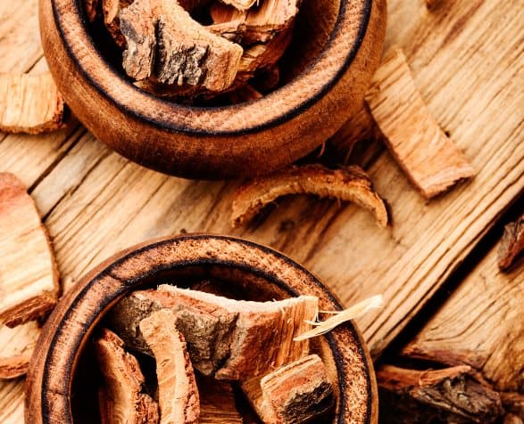 Premium-papukaijan ruoka | Luomu tammenkuori | Terveellinen ravintolisä kaikille papukaijoille 50 g