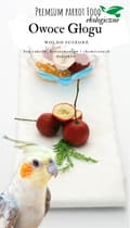 Miniatyrbild 1 av 5: Premium papegojfoder | Ekologiska hagtornsbär | Snacks eller hälsosamt kosttillskott för alla papegojor 50 g
