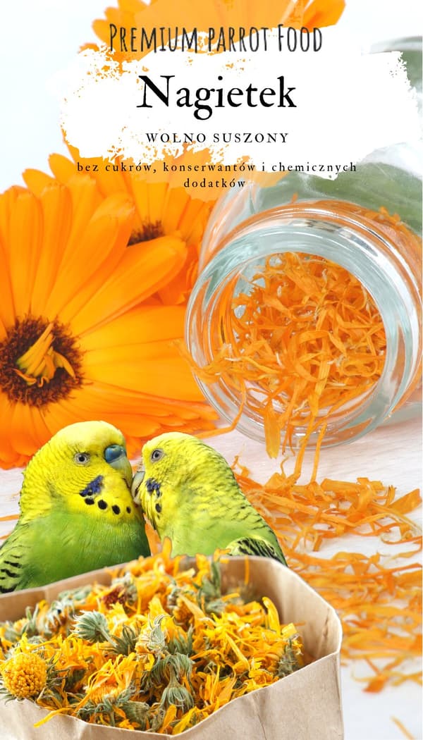 Premium papegojfoder - Ringblommor - Ringblomma för alla papegojor 25g