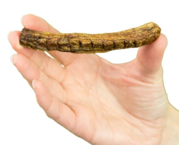 Premium papegojfoder | Naturligt torkad banan | Hälsosamt godis för alla papegojor 100 g