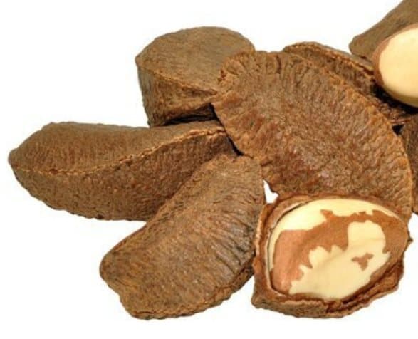Premium-papukaijan ruoka | Kuoressa olevat parapähkinät | Luonnollisia herkkuja kaikille papukaijoille 100 g