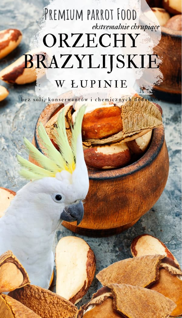 Premium-papukaijan ruoka | Kuoressa olevat parapähkinät | Luonnollisia herkkuja kaikille papukaijoille 100 g