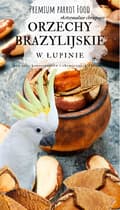 Pikkukuva 4 / 5: Premium-papukaijan ruoka | Kuoressa olevat parapähkinät | Luonnollisia herkkuja kaikille papukaijoille 100 g