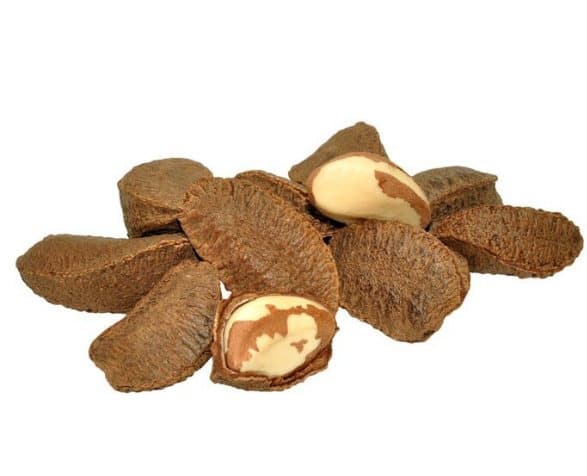 Premium-papukaijan ruoka | Kuoressa olevat parapähkinät | Luonnollisia herkkuja kaikille papukaijoille 100 g
