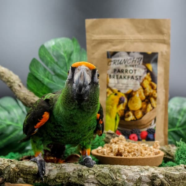 Crunchy Dinkel Parrot Breakfast - Papukaijan aamiainen tai lounasruoka, kuuma tai kylmä, kaikille papukaijoille, 100g