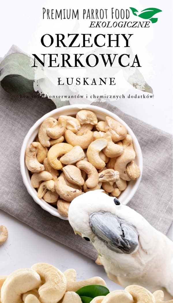 Premium papegojfoder - ekologiska cashewnötter - för alla papegojor 100g