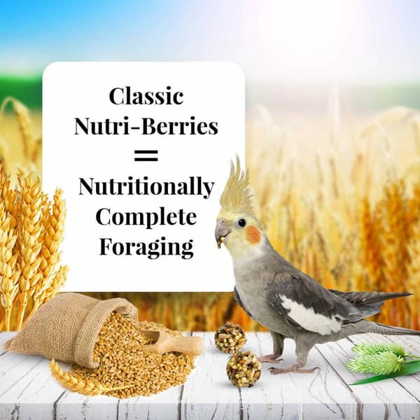 Lafeber NutriBerries Classic -kakaduille - Pallonmuotoinen ruoka pienille ja keskikokoisille papukaijoille