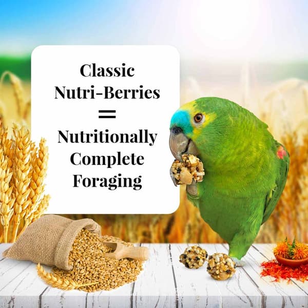 Lafeber NutriBerries Original Classic - Kulformat foder för medelstora och stora papegojor 284 g
