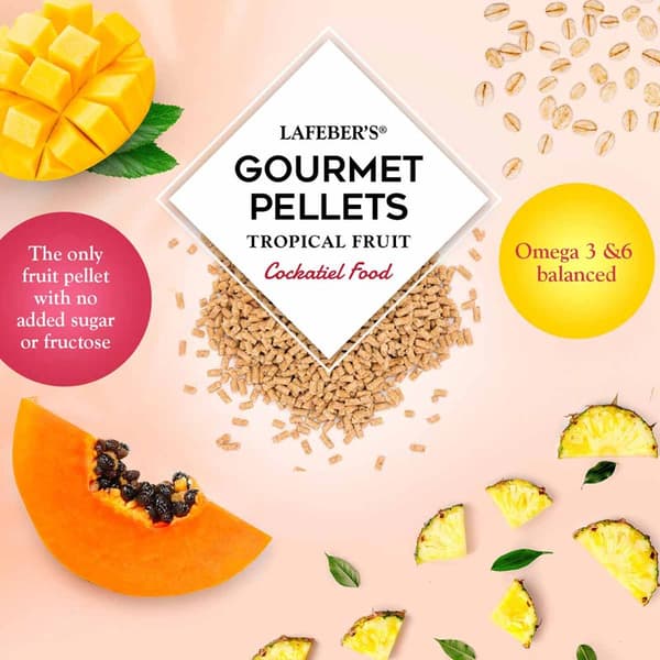 Lafeber Gourmet Pellets - Tropisk frukt - Nymfparakit - Balanserat foder: fruktgranulat för nymfparakiter 1,81 kg
