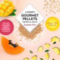 Miniatyrbild 3 av 5: Lafeber Gourmet Pellets - Tropisk frukt - Nymfparakit - Balanserat foder: fruktgranulat för nymfparakiter 1,81 kg