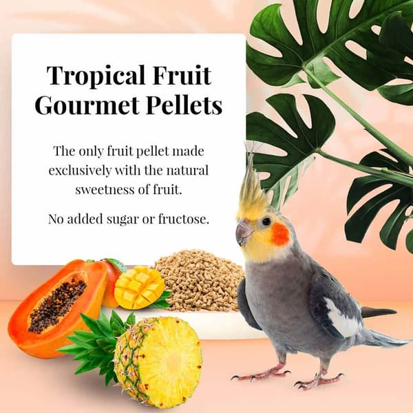 Lafeber Gourmet Pellets - Tropisk frukt - Nymfparakit - Balanserat foder: fruktgranulat för nymfparakiter 1,81 kg