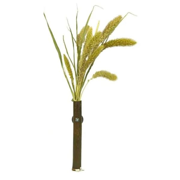 Takaisin Zoo Nature's ketunhäntäkimppu | Setaria-jyväkimppu | kaikille papukaijoille 30 g
