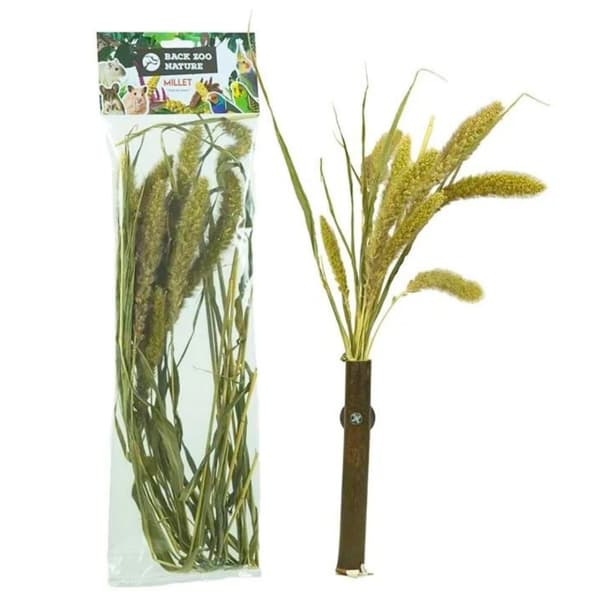 Takaisin Zoo Nature's ketunhäntäkimppu | Setaria-jyväkimppu | kaikille papukaijoille 30 g