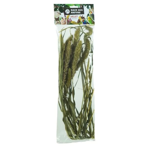 Takaisin Zoo Nature's ketunhäntäkimppu | Setaria-jyväkimppu | kaikille papukaijoille 30 g