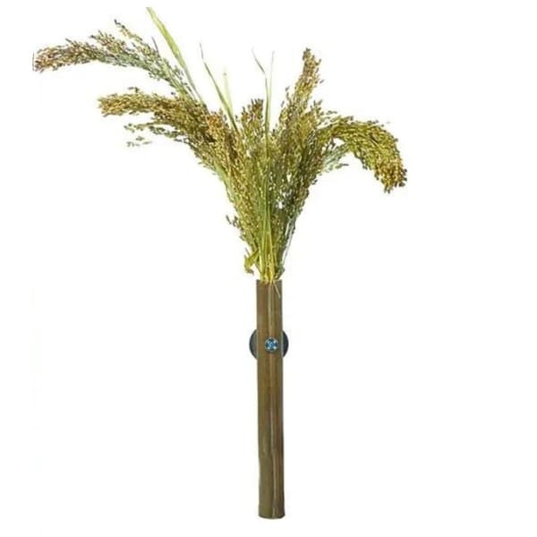 Panicum öron i bukett från Back Zoo Nature - | Hirsbukett | för alla papegojor 40g