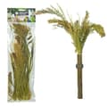 Miniatyrbild 4 av 6: Panicum öron i bukett från Back Zoo Nature - | Hirsbukett | för alla papegojor 40g