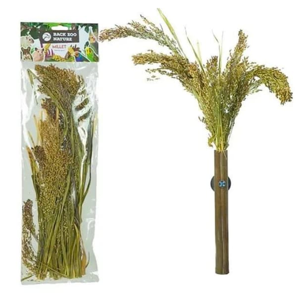 Panicum öron i bukett från Back Zoo Nature - | Hirsbukett | för alla papegojor 40g
