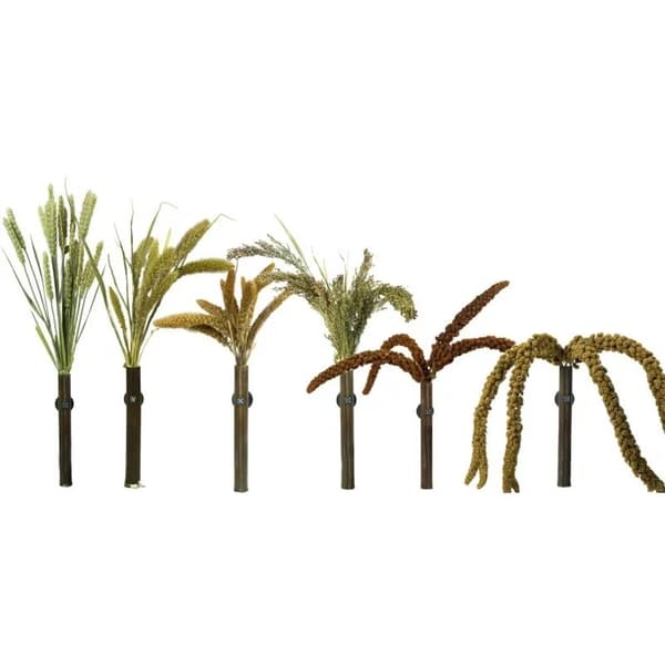 Panicum öron i bukett från Back Zoo Nature - | Hirsbukett | för alla papegojor 40g