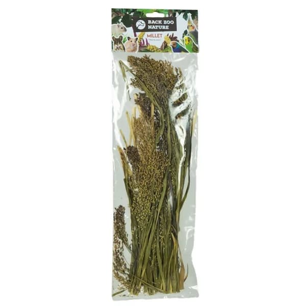 Panicum öron i bukett från Back Zoo Nature - | Hirsbukett | för alla papegojor 40g