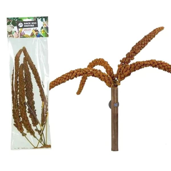 Punahirssiä kimpussa Back Zoo Naturelta | Punahirssiä piikkien välissä | Herkkua kaikille papukaijoille 150 g