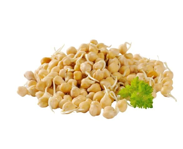 Premium papukaijanruoka | Kikherneet | Siemenet idätykseen | papukaijoille 50 g