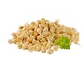 Pikkukuva 3 / 7: Premium papukaijanruoka | Kikherneet | Siemenet idätykseen | papukaijoille 50 g