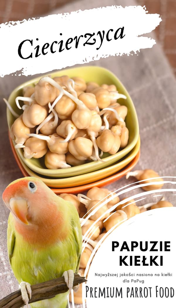 Premium papukaijanruoka | Kikherneet | Siemenet idätykseen | papukaijoille 50 g