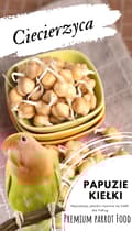 Pikkukuva 5 / 7: Premium papukaijanruoka | Kikherneet | Siemenet idätykseen | papukaijoille 50 g