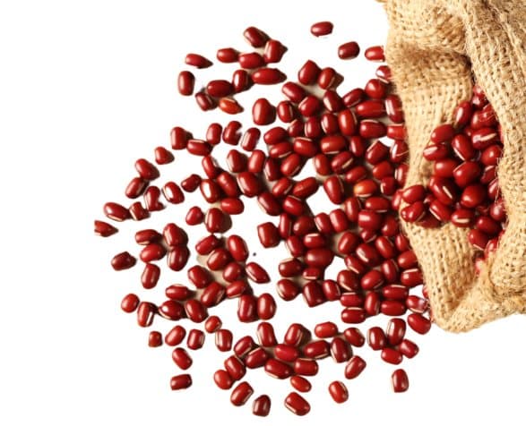 Premium papegojfoder | Adzukibönor | Groddande frön | för papegojor 50 g