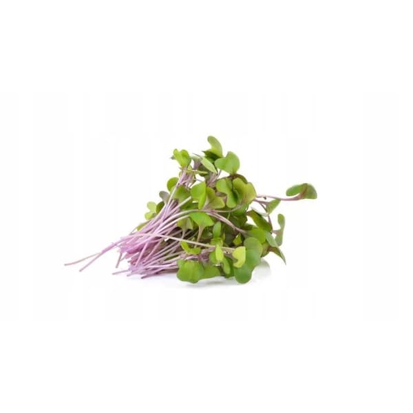 Premium papegojfoder | Rödkål | Groddfrön | för papegojor 50 g
