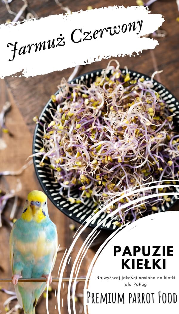Premium papegojfoder | Rödkål | Groddfrön | för papegojor 50 g