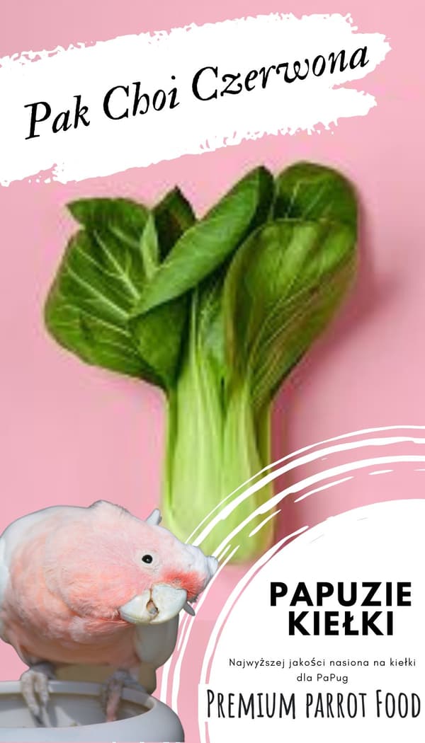 Premium papukaijanruoka | Pak Choi Red | Siemenet ituja varten | papukaijoille 50 g