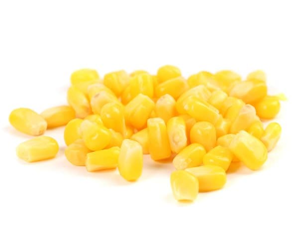 Premium papukaijanruoka | Maissi | Idättävät siemenet | papukaijoille 50 g