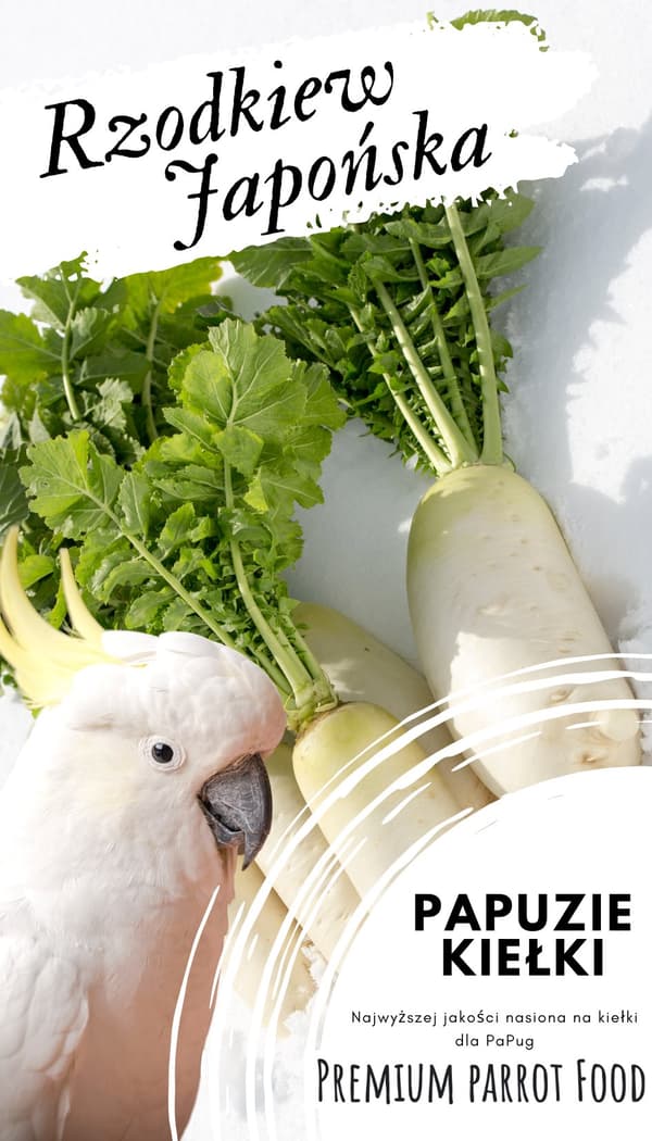 Premium papegojfoder | Daikon-rädisa | Groddfrön | för papegojor 50 g