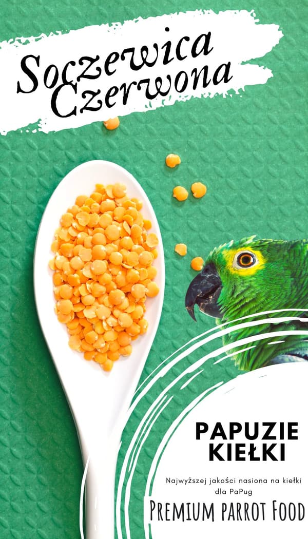 Premium papukaijanruoka | Punaiset linssit | Siemenet itujen kasvattamiseen | papukaijoille 50 g