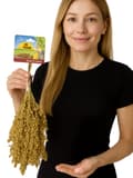 Miniatyrbild 1 av 9: JR FARM Hirs utspritt i öronen för att knastra för alla papegojor 400g