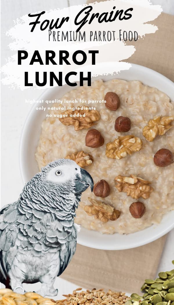 Fyra korn papegojfrukost | Papegojfrukost eller middagsrätt | Varm eller kall mat för papegojor 100 g