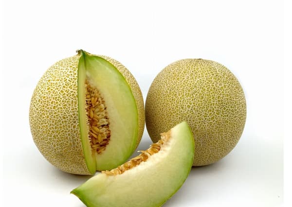 Premium papegojfoder | Naturligt torkad melon | Hälsosamt godbit för alla papegojor 100 g