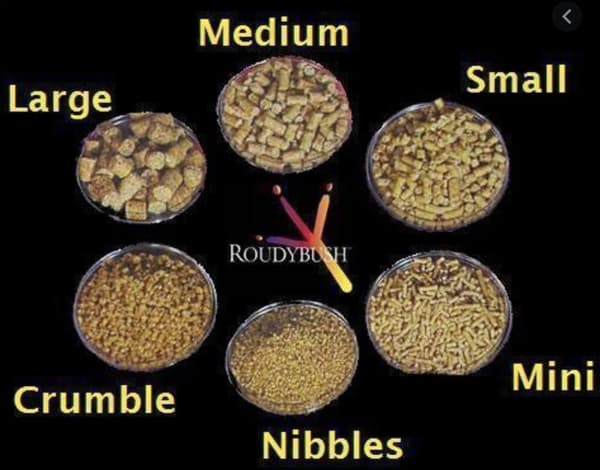 RoudyBush Maintenance Medium 0.23 kg - Rae suurille papukaijoille