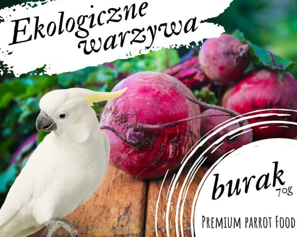 Premium papegojfoder - Ekologisk rödbeta - för alla papegojor 70g
