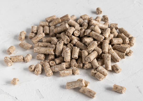 Premium papukaijanruoka - kurpitsanjyvä - kaikille papukaijoille 150 g