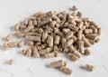 Pikkukuva 2 / 4: Premium papukaijanruoka - kurpitsanjyvä - kaikille papukaijoille 150 g