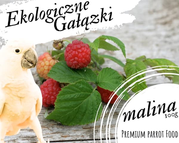 Premium papegojfoder - ekologiska hallongrenar - för alla papegojor 100g Premium papegojfoder - ekologiska hallongrenar - för alla papegojor 100g